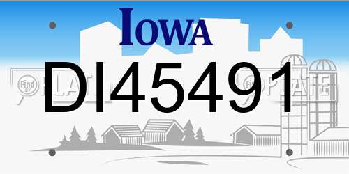 DI45491 Iowa License Plate