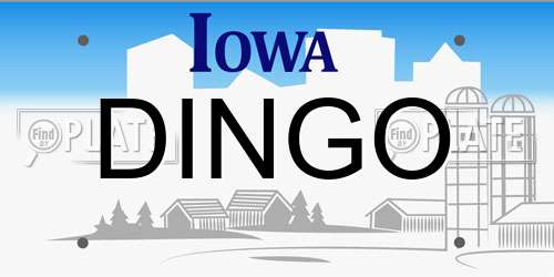 DINGO Iowa License Plate