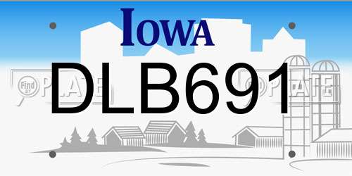 DLB691 Iowa License Plate