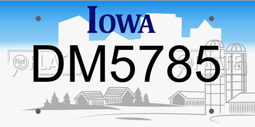 DM5785 Iowa License Plate