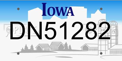 DN51282 Iowa License Plate
