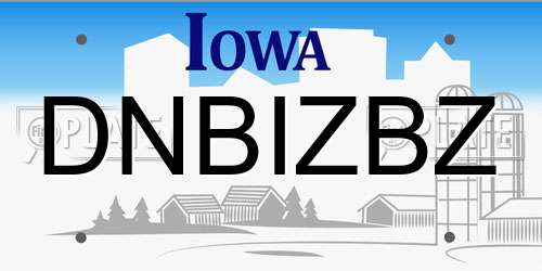DNBIZBZ Iowa License Plate
