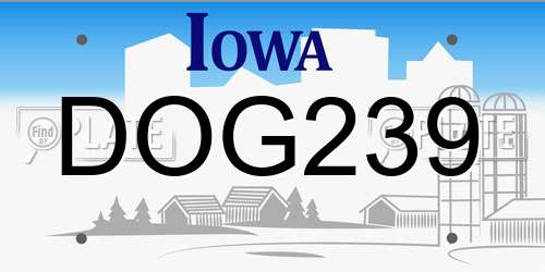DOG239 Iowa License Plate