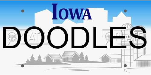 DOODLES Iowa License Plate