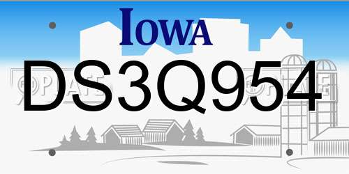DS3Q954 Iowa License Plate
