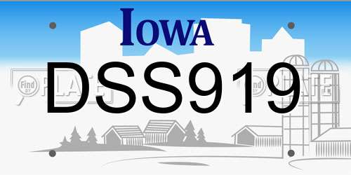 DSS919 Iowa License Plate