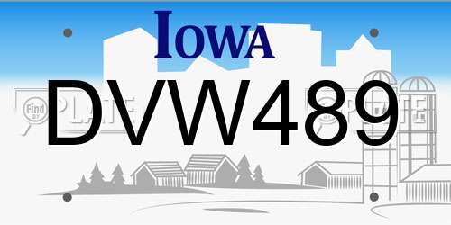 DVW489 Iowa License Plate