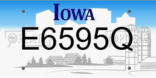 E6595Q Iowa License Plate