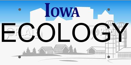 ECOLOGY Iowa License Plate