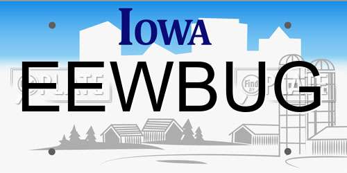 EEWBUG Iowa License Plate
