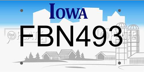 FBN493 Iowa License Plate