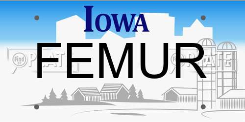 FEMUR Iowa License Plate