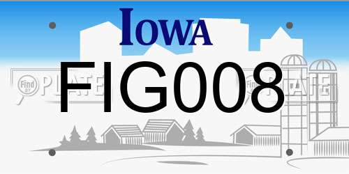 FIG008 Iowa License Plate