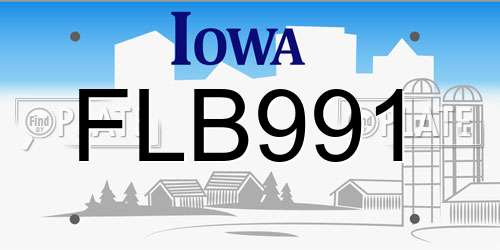 FLB991 Iowa License Plate