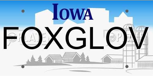 FOXGLOV Iowa License Plate