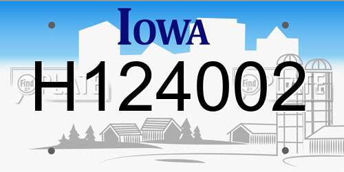 H124002 Iowa License Plate
