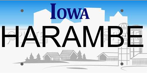 HARAMBE Iowa License Plate