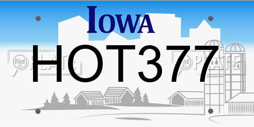 HOT377 Iowa License Plate