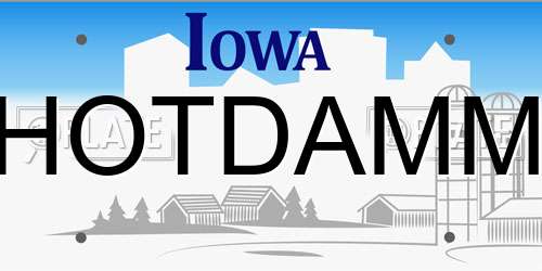 HOTDAMM Iowa License Plate