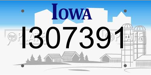 I307391 Iowa License Plate