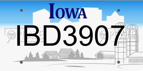 IBD3907 Iowa License Plate