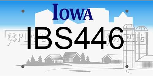 IBS446 Iowa License Plate