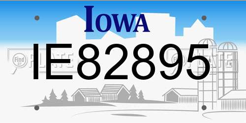 IE82895 Iowa License Plate
