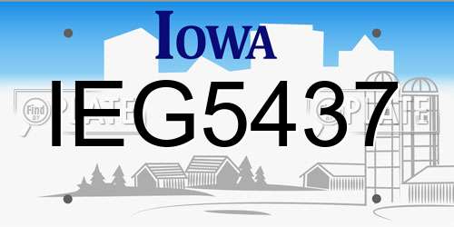 IEG5437 Iowa License Plate