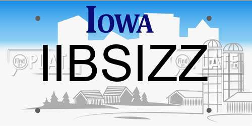 IIBSIZZ Iowa License Plate