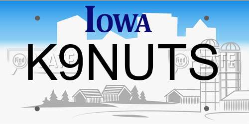 K9NUTS Iowa License Plate