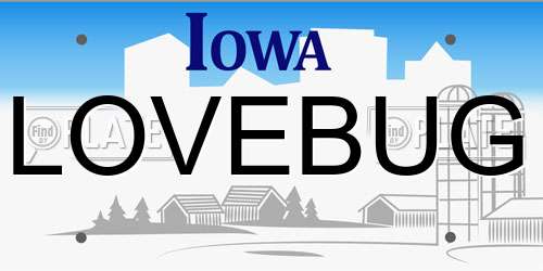 LOVEBUG Iowa License Plate