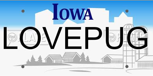 LOVEPUG Iowa License Plate