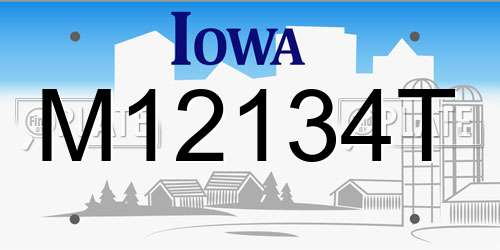 M12134T Iowa License Plate