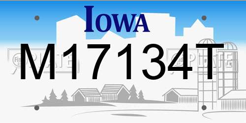 M17134T Iowa License Plate