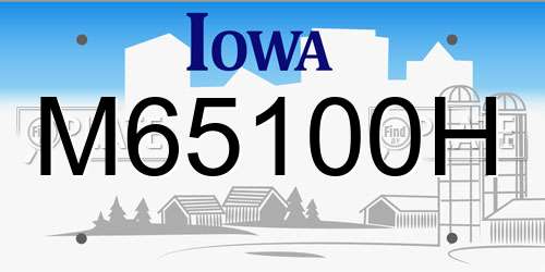 M65100H Iowa License Plate