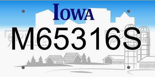 M65316S Iowa License Plate