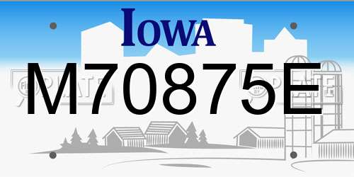 M70875E Iowa License Plate