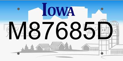 M87685D Iowa License Plate
