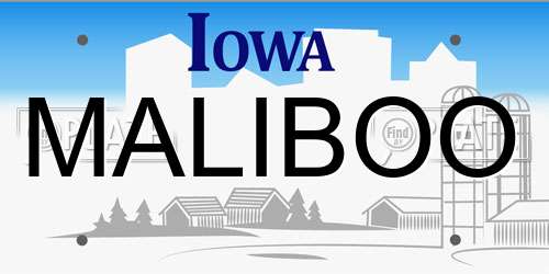 MALIBOO Iowa License Plate
