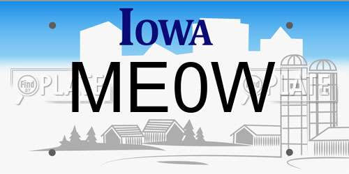 ME0W Iowa License Plate