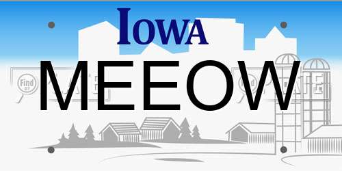 MEEOW Iowa License Plate