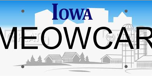 MEOWCAR Iowa License Plate
