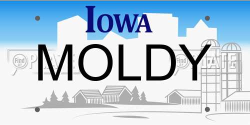 MOLDY Iowa License Plate