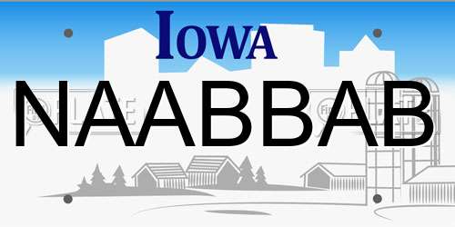 NAABBAB Iowa License Plate