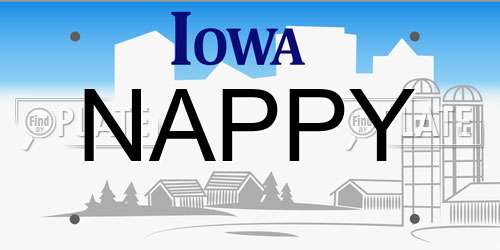 NAPPY Iowa License Plate