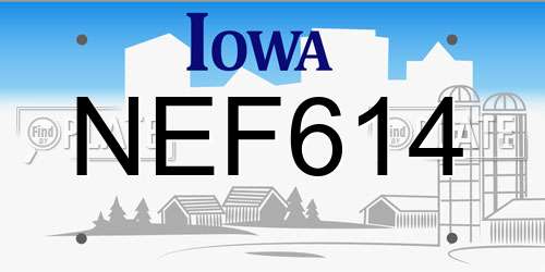 NEF614 Iowa License Plate