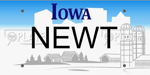 NEWT Iowa License Plate