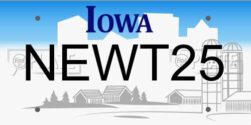NEWT25 Iowa License Plate