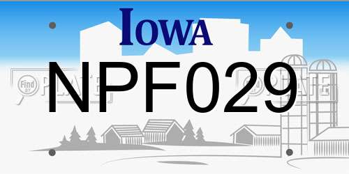 NPF029 Iowa License Plate