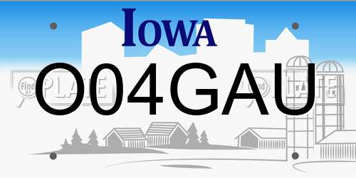 O04GAU Iowa License Plate
